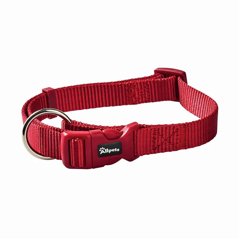 Beliebt Allpets Classy Halsband XXS–XS 15–25 cm / 10 mm rot
